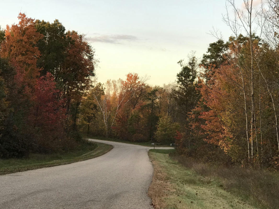 LT9 FINELLI AVE, CRIVITZ, WI 54114, photo 1 of 5